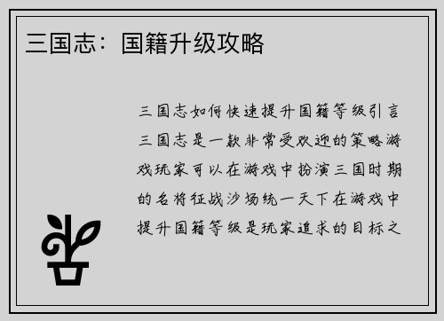 三国志：国籍升级攻略